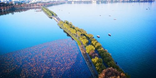 浙江杭州2日定制游(2钻)·绝美西湖 第一世界乐园