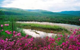 大兴安岭白山天气预报,历史气温,旅游指数,白山