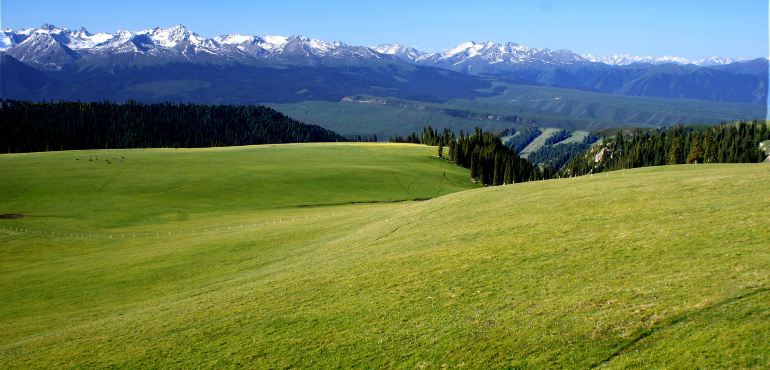 新疆最新新闻体育直播报道冬季冰雪运动在边疆地区的蓬勃发展