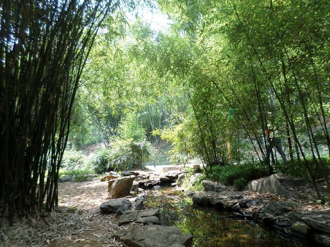 028主播维晨在湖南【番外篇】十一长沙游玩 总