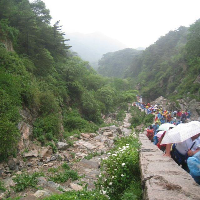 泰山风景