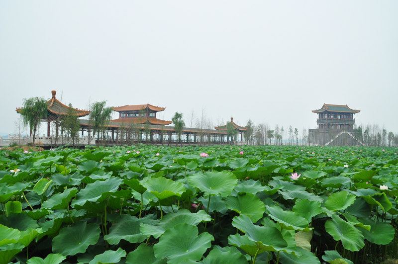 岐山湖游记