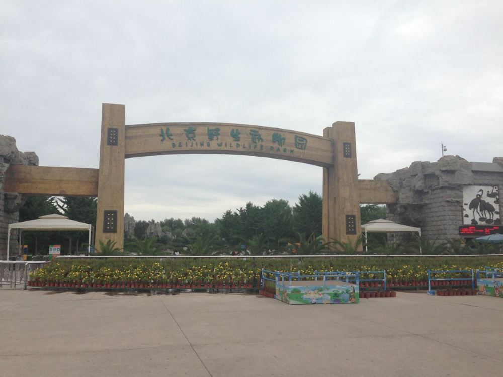北京野生动物园一日游 - 北京游记攻略