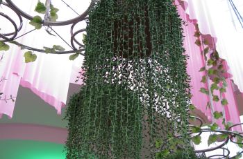 南沙百万葵园,广州南沙百万葵园攻略\/地址\/图片