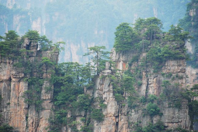 最美张家界三日游精彩回顾 - 张家界游记攻略