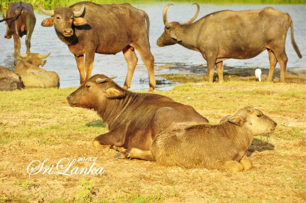 这是一个悠长的假期吗_节日假期_胖人服饰网