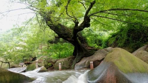 九华天池风景区