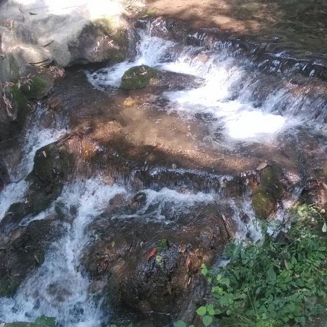 ʮ̶֮