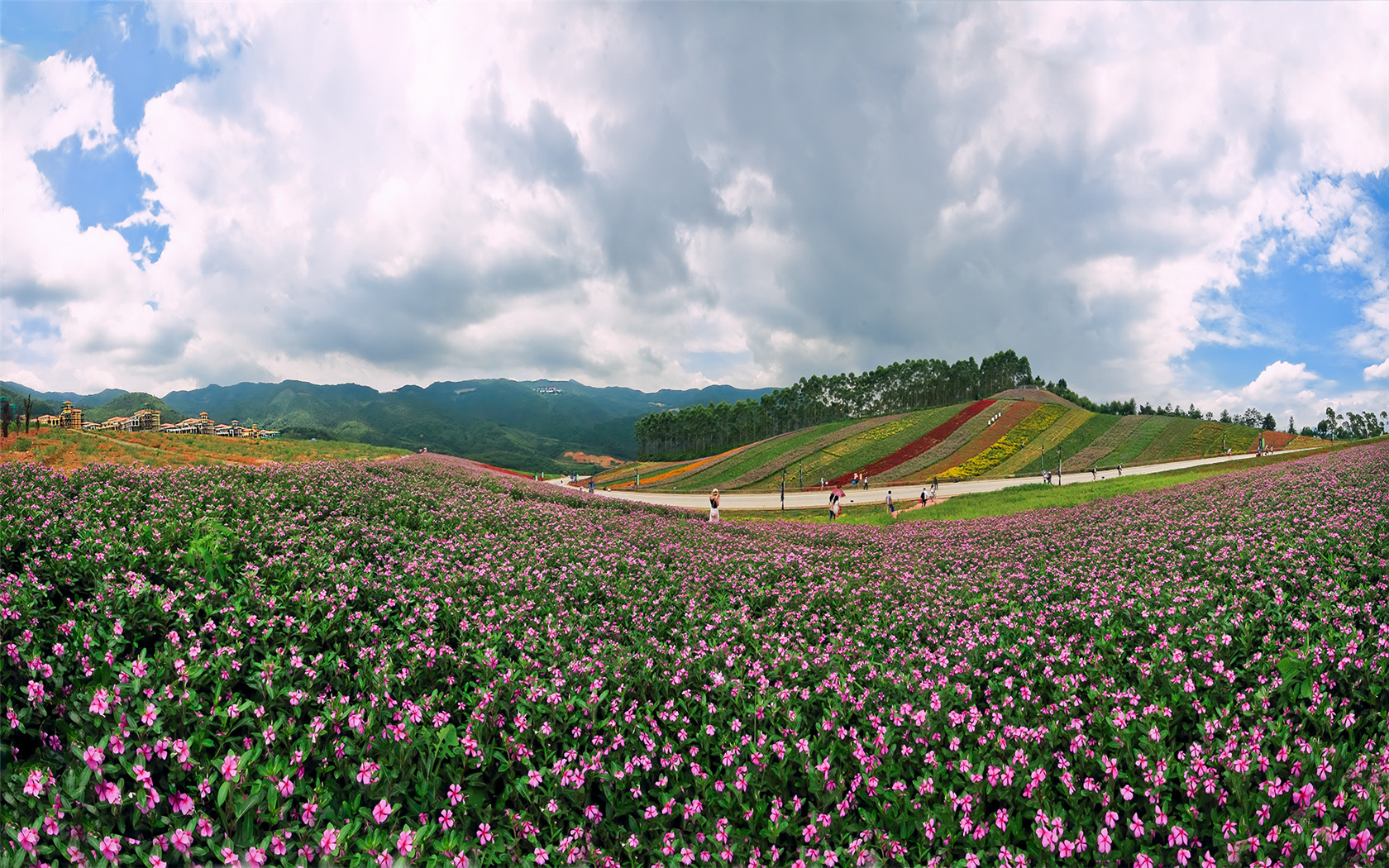 十里蓝山 (1).jpg