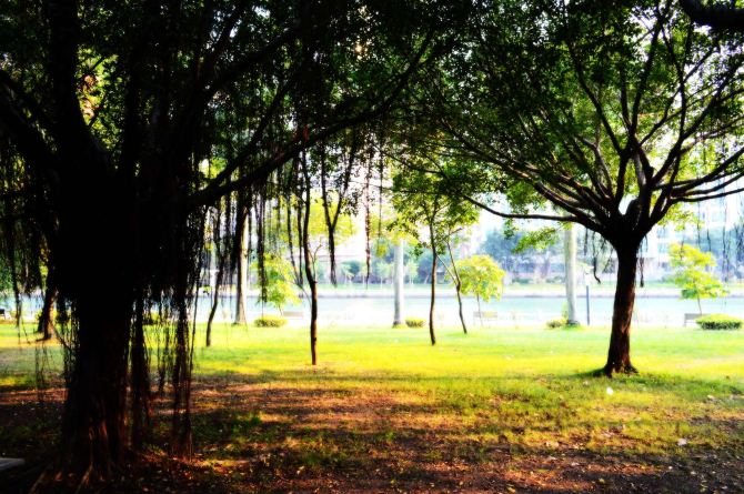 厦门六天深度游:让你体验到天国之乐的海滨之