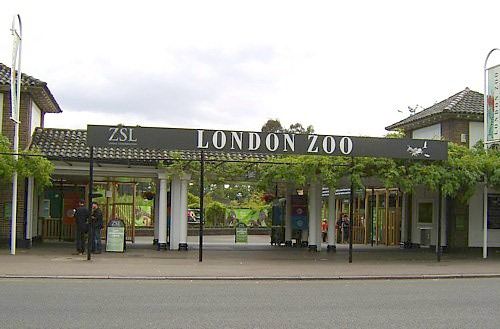 zoo 4分(33条点评 31 伦敦动物园是世界上最早的野生科学动物园,建