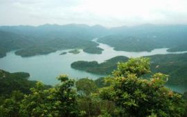 中山长江叠翠天气预报,历史气温,旅游指数,长江