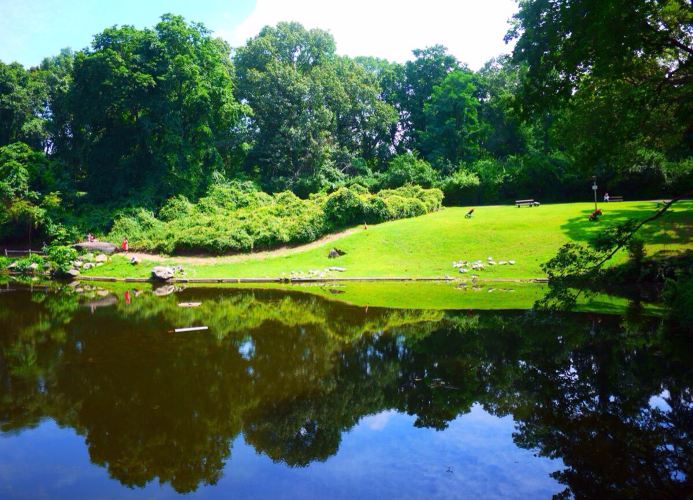 【环球体验】奢华家族的美国梦(纽约长岛一日