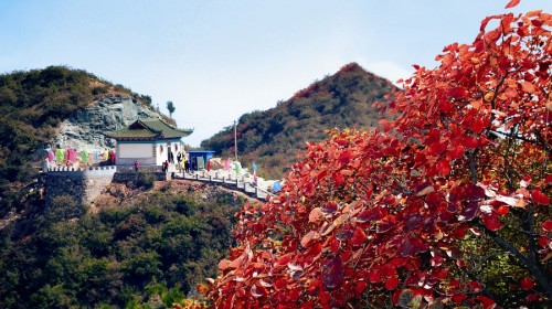 竹林长寿山门票预订_竹林长寿山门票价格_竹林长寿山