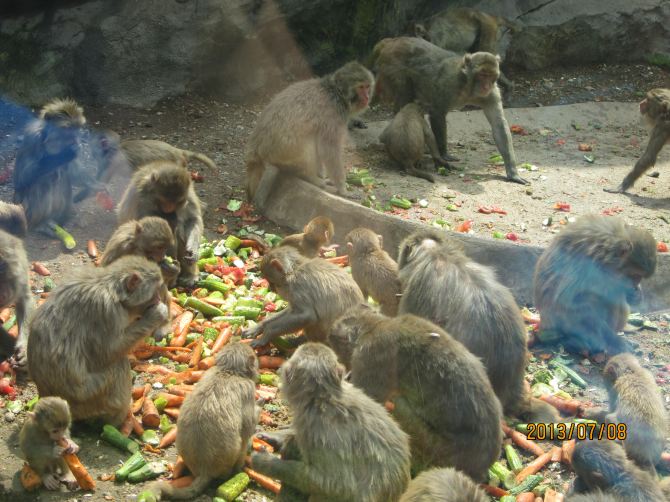 携程旅游 携程攻略社区 马尔代夫一月一岛考察