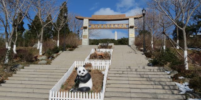 刘公岛国家森林公园
