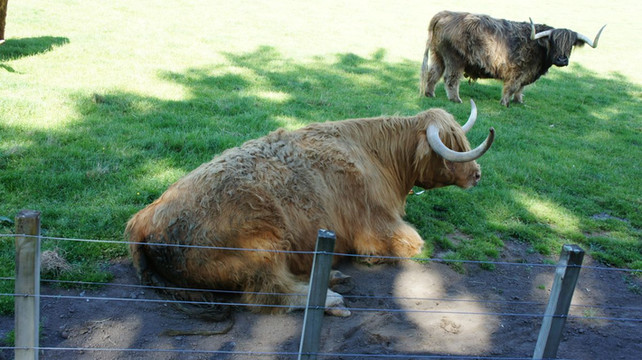 新西兰8日跟团游攻略 小资玩法 含海量美图分