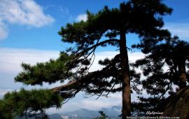 【九华山天气预报】九华山天气预报一周查询,