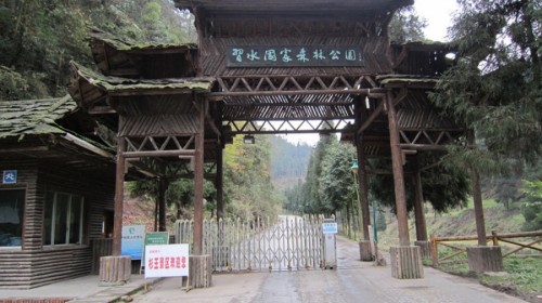 杉王景区