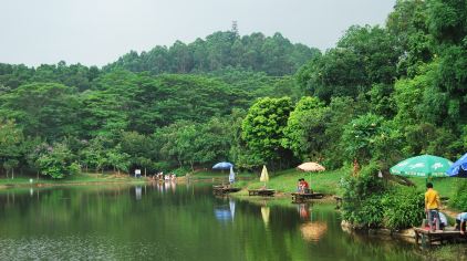 大夫山森林公园门票,大夫山森林公园门票价格