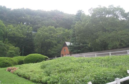 让旅行的脚步稍稍停留--小住爱知县丰田市 - 日