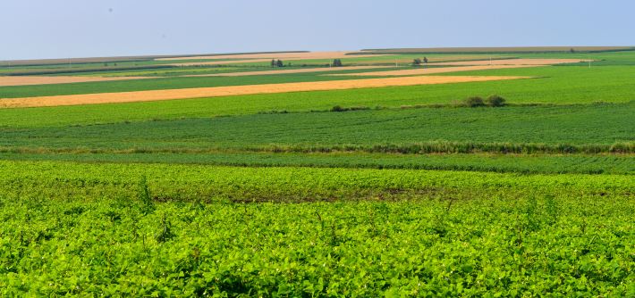 大连到呼伦贝尔自驾游 - 呼伦贝尔游记攻略