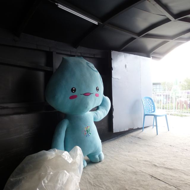 在国际园逛时,已经有巴基斯坦馆等国家馆关门不让进了,我们走到瑞典馆时,竟还没关门,我们赶紧冲进去,刚进去没走几步,突然一片漆黑。熄灯了,入口大门处传来锁门声,和关门了,不能进了的人声。孩子赶紧拽着我想打退堂鼓,从入口处出去,不想看了,我脸皮厚,既然侥幸进来了,说什么也不能一张照片也不照就撤啊,70元不都白花了。入口处的锁门人还挺好说话,赶紧开了灯,让我们继续。第一张照片拍的时间是17:22,最后一张照片时间是17:25.