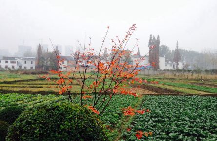 【i 旅行】汉中小城故事多图片