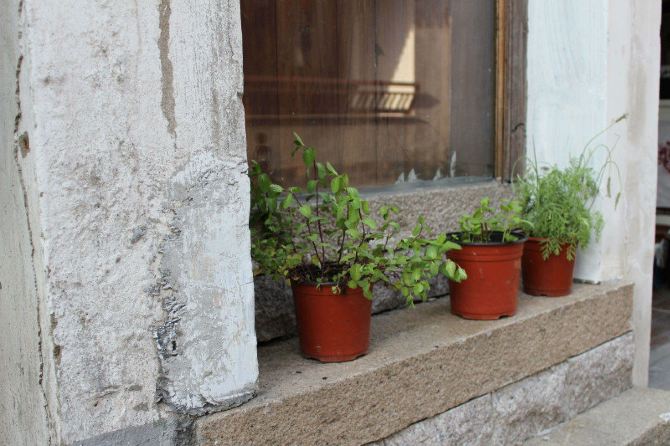 哐当~哐当~哐当~坐上火车去旅行(苏州) - 苏州