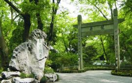 杭州龙井问茶天气预报,历史气温,旅游指数,龙井