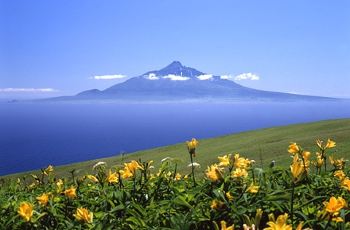 礼文岛,稚内市礼文岛攻略\/地址\/图片\/门票【携程攻略】