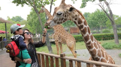 上海野生动物园