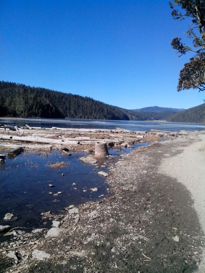 昆大香丽,第一次自己的旅行 - 丽江游记攻略【