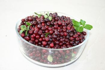 北极之旅 - 漠河游记攻略