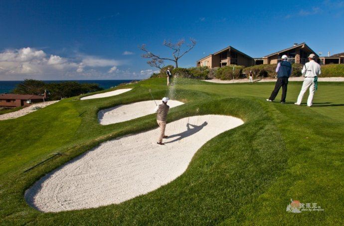 自驾游加州黄金海岸的世界顶级高尔夫球场——卵石滩(pebble beach)