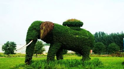 昌邑绿博园门票多少钱_昌邑绿博园门票价格_