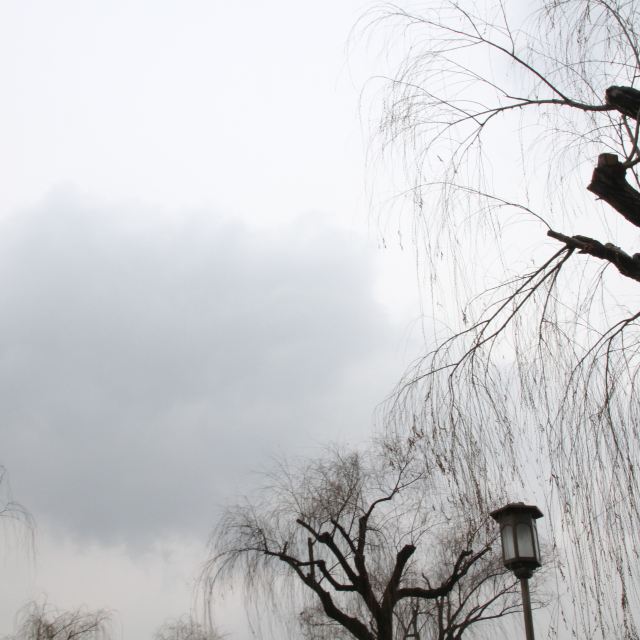 乍暖还寒的雨天西湖