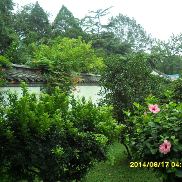 孔府后花园 春色满园