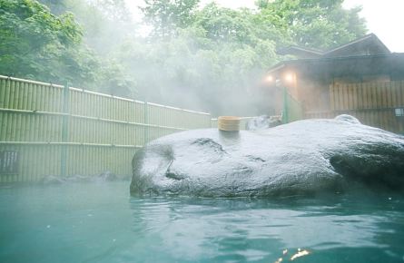 盘点大阪最养生8大温泉,听说爱泡温泉的人长寿哦