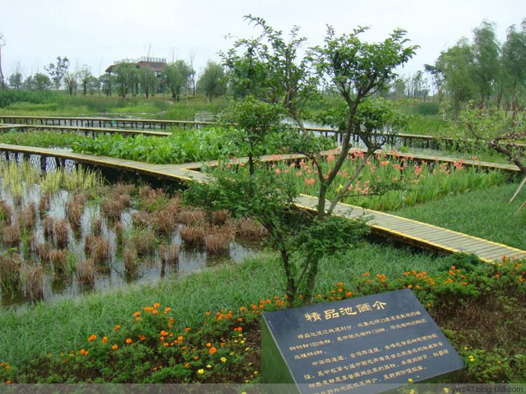 洪泽湖湿地公园