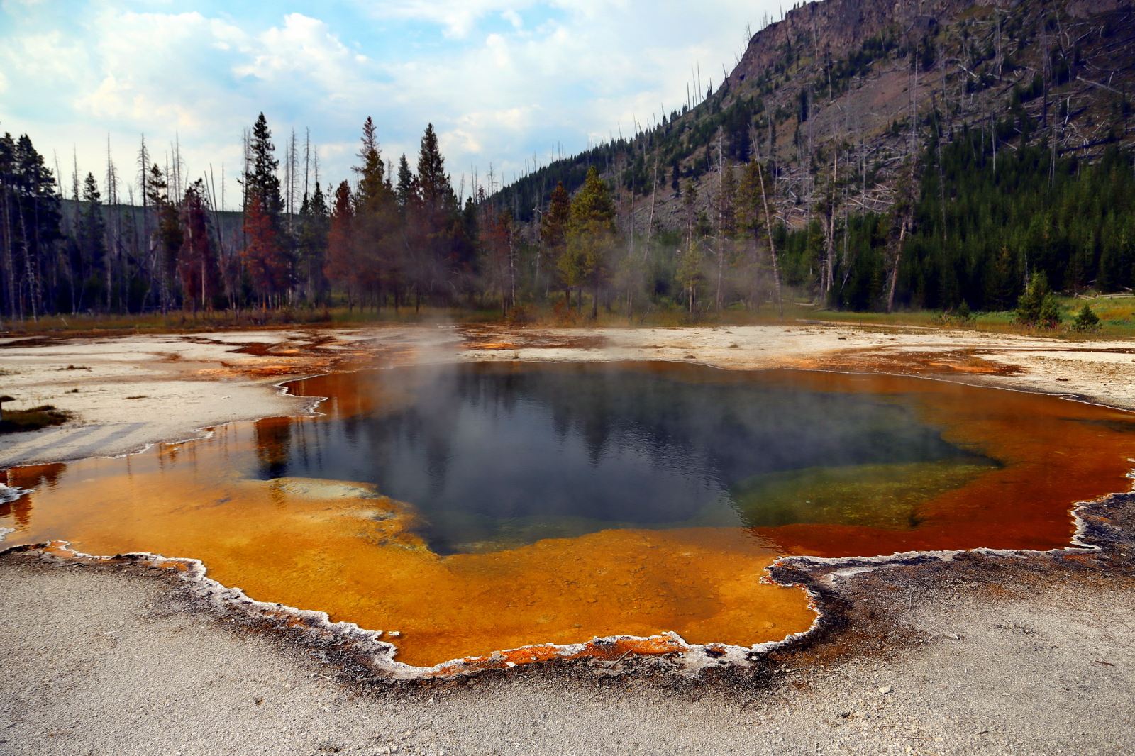 美国东西海岸+黄石国家公园+尼亚加拉大瀑布17日跟团游(3钻)·CA\/黄石经典线路\/送环球影城-【携程旅游】