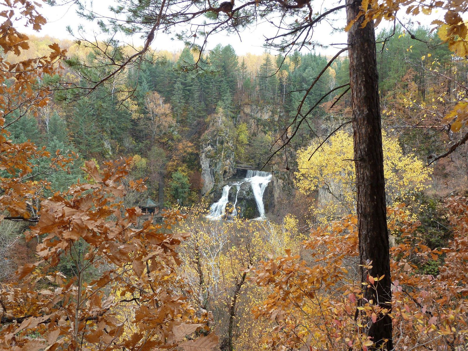 伊春+嘉荫3日2晚跟团游·五营+汤旺河石林+茅