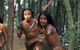 【野人岛天气预报】阳新野人岛天气预报一周,