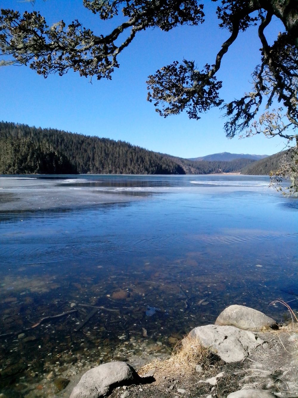 昆大香丽,第一次自己的旅行 - 丽江游记攻略【