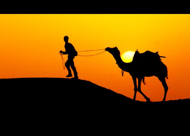 【少年停下了前行的脚步,与骆驼一同在烈日下休息】