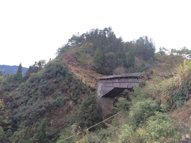 在冬天本来是游客