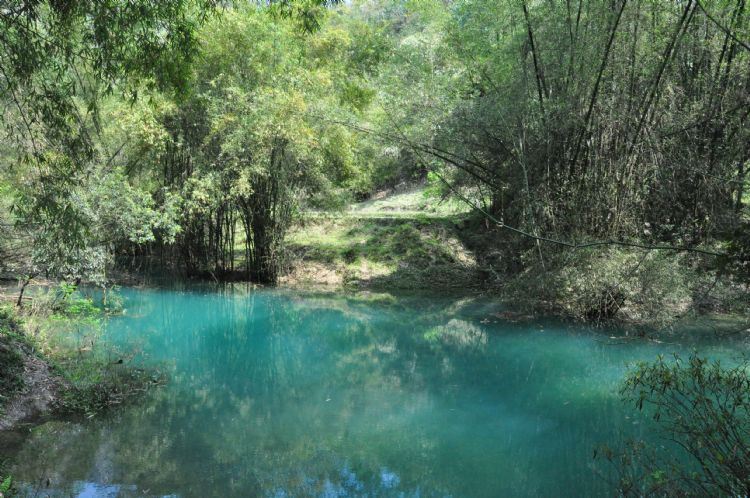 贵州游记之平塘甲茶景区