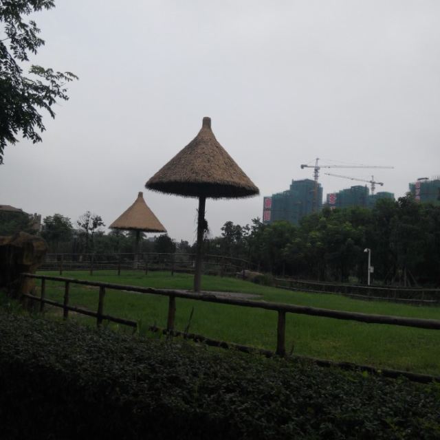 南昌动物园一天游玩