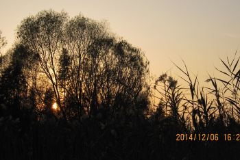 上海周边西塘、崇明二日自驾游 - 崇明游记攻略