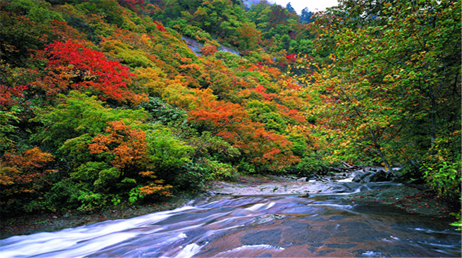 上甘岭溪水国家森林公园